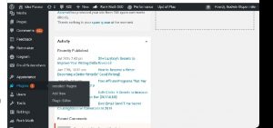 How to add Plugins to your music blog