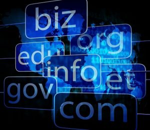 How to start Selling Domain Names in Nigeria 